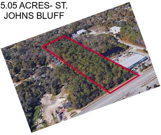 5.05 ACRES- ST. JOHNS BLUFF