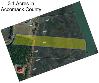 3.1 Acres in Accomack County