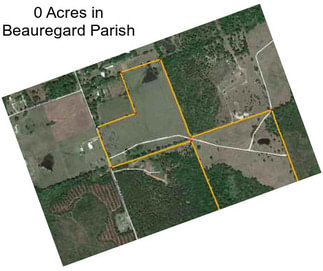 0 Acres in Beauregard Parish