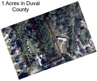 1 Acres in Duval County