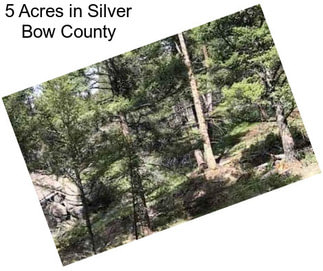 5 Acres in Silver Bow County