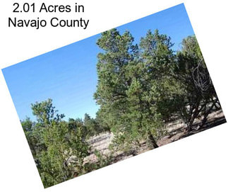 2.01 Acres in Navajo County