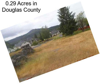 0.29 Acres in Douglas County