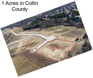 1 Acres in Collin County