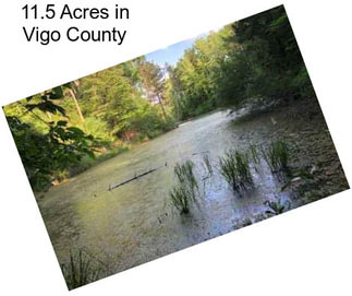 11.5 Acres in Vigo County