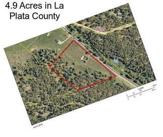 4.9 Acres in La Plata County