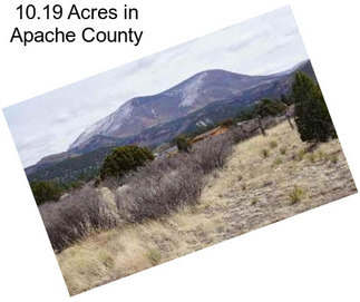 10.19 Acres in Apache County