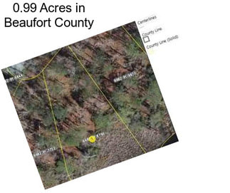 0.99 Acres in Beaufort County