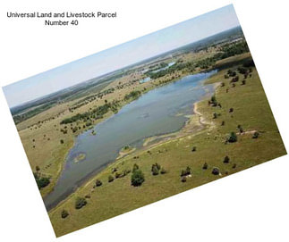 Universal Land and Livestock Parcel Number 40