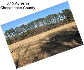 3.15 Acres in Chesapeake County