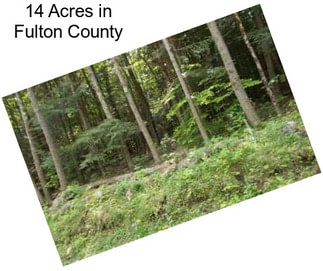 14 Acres in Fulton County