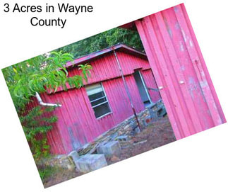 3 Acres in Wayne County