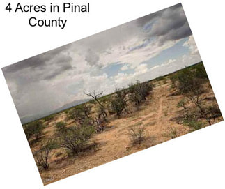 4 Acres in Pinal County