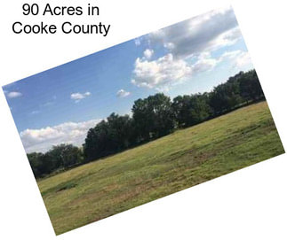 90 Acres in Cooke County