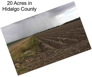 20 Acres in Hidalgo County