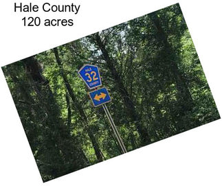 Hale County 120 acres