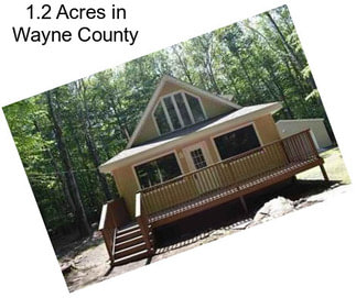 1.2 Acres in Wayne County