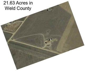 21.63 Acres in Weld County