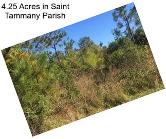 4.25 Acres in Saint Tammany Parish