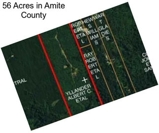 56 Acres in Amite County