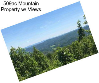 509ac Mountain Property w/ Views