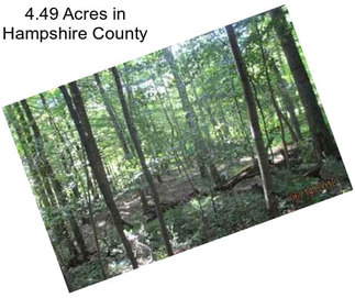 4.49 Acres in Hampshire County