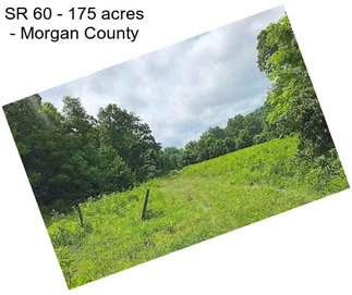 SR 60 - 175 acres - Morgan County