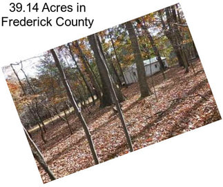 39.14 Acres in Frederick County