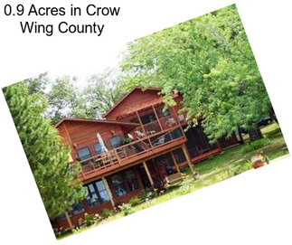 0.9 Acres in Crow Wing County