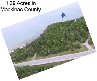 1.39 Acres in Mackinac County
