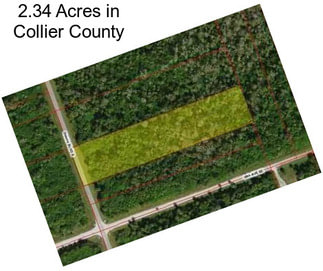 2.34 Acres in Collier County