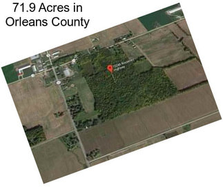 71.9 Acres in Orleans County