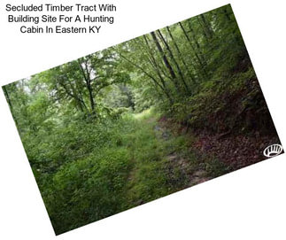 Secluded Timber Tract With Building Site For A Hunting Cabin In Eastern KY