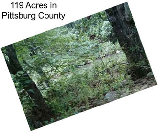 119 Acres in Pittsburg County