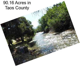 90.16 Acres in Taos County