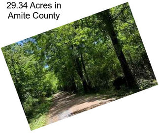 29.34 Acres in Amite County