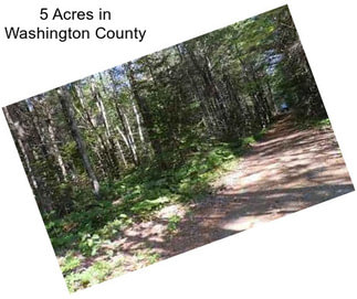 5 Acres in Washington County