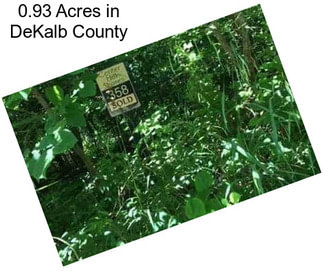 0.93 Acres in DeKalb County