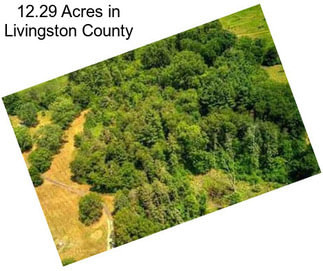 12.29 Acres in Livingston County