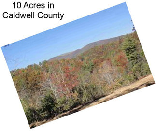 10 Acres in Caldwell County