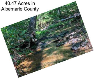 40.47 Acres in Albemarle County