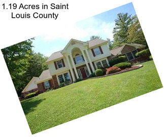 1.19 Acres in Saint Louis County