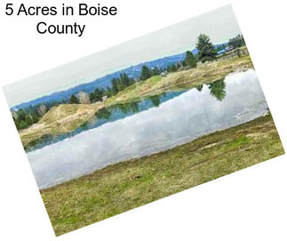 5 Acres in Boise County
