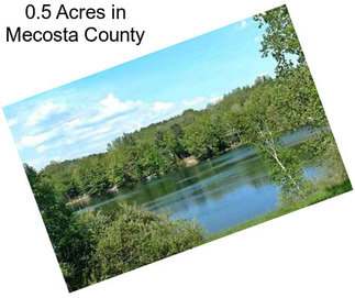 0.5 Acres in Mecosta County