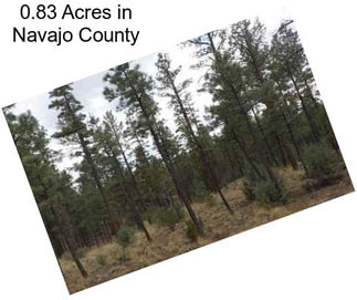 0.83 Acres in Navajo County