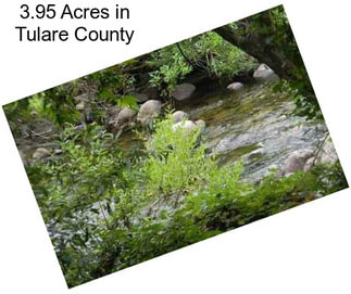 3.95 Acres in Tulare County