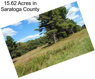 15.62 Acres in Saratoga County