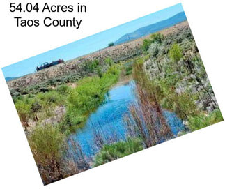 54.04 Acres in Taos County