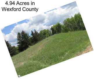 4.94 Acres in Wexford County