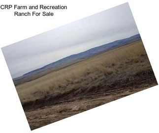 CRP Farm and Recreation Ranch For Sale